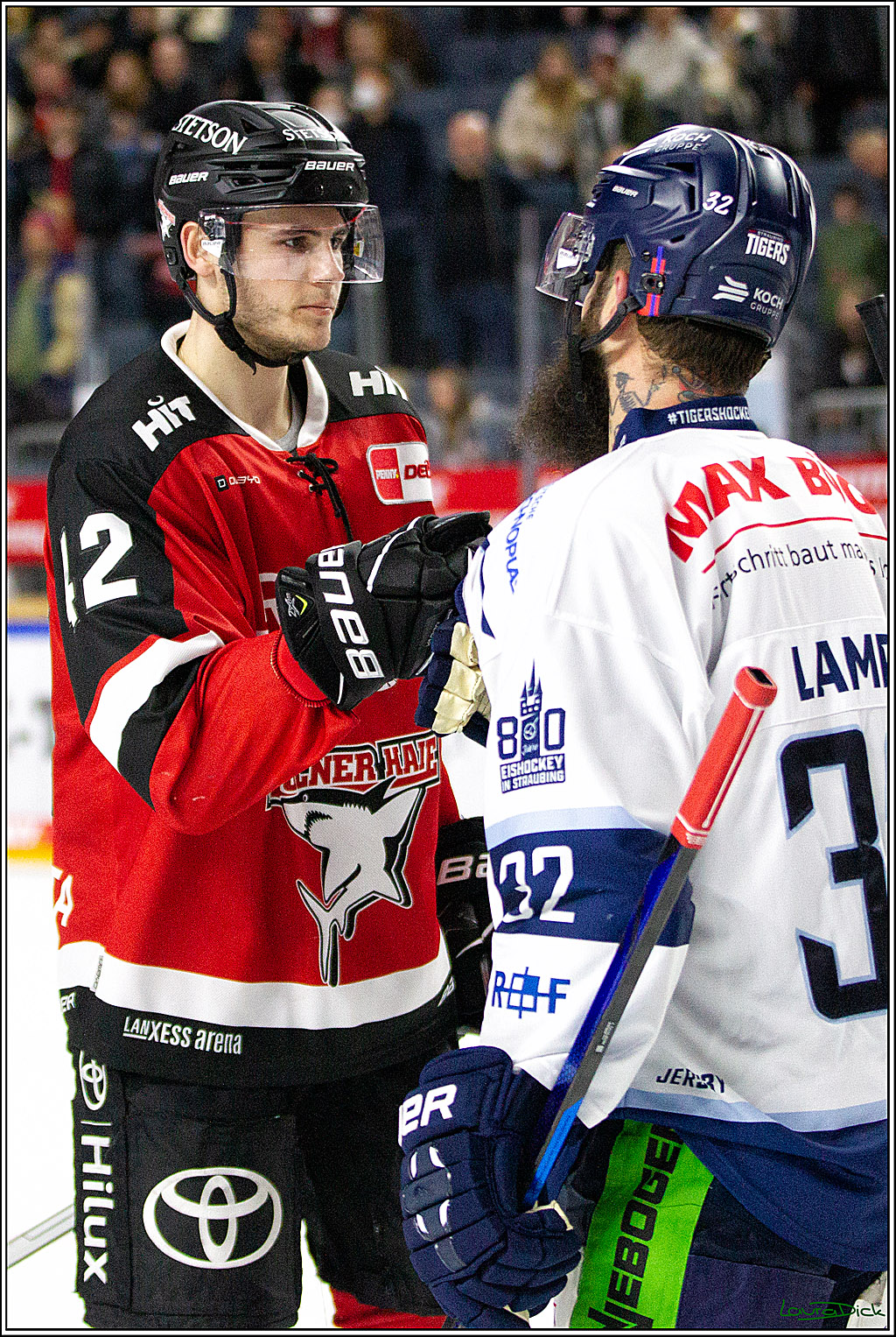 PENNY DEL;  Koelner Haie - Straubing Tigers; Koeln, 15.10.2021